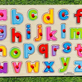 Preschool Board Puzzle ( Peg Puzzle / One Piece Puzzle)