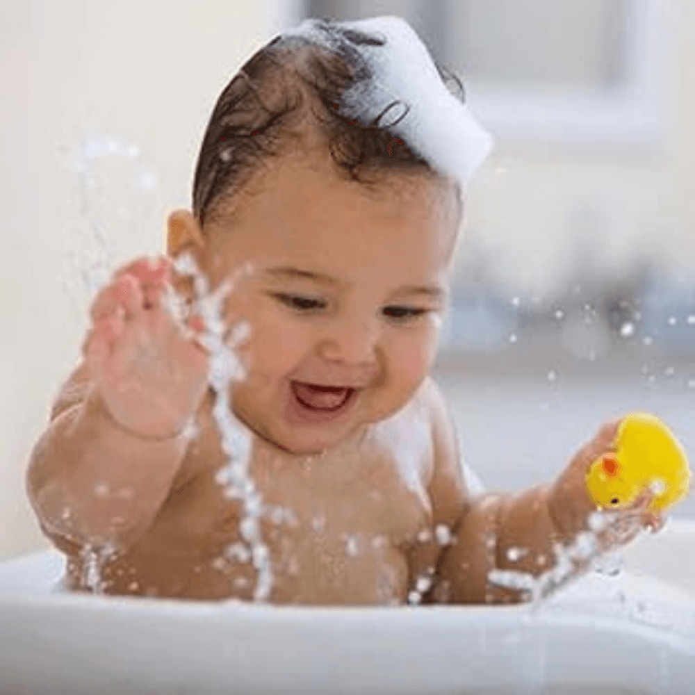 Squeezy Animal Toys with Whistle / Rubber Bath Toy - Image 4