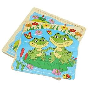 life cycle of Frog