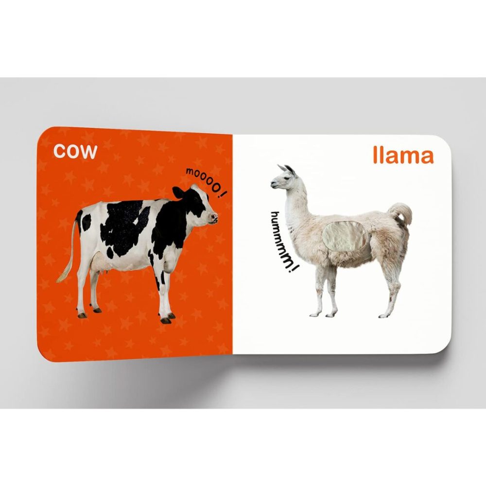 My First Book Of Touch and Feel Books - Image 2