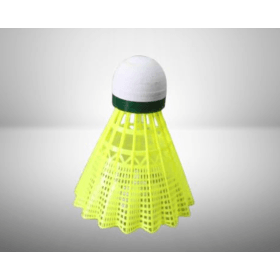 Shuttlecock