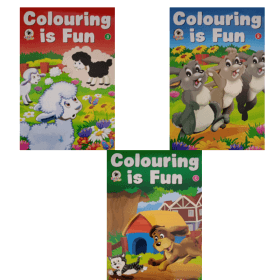 Colouring is fun book ( Single book )